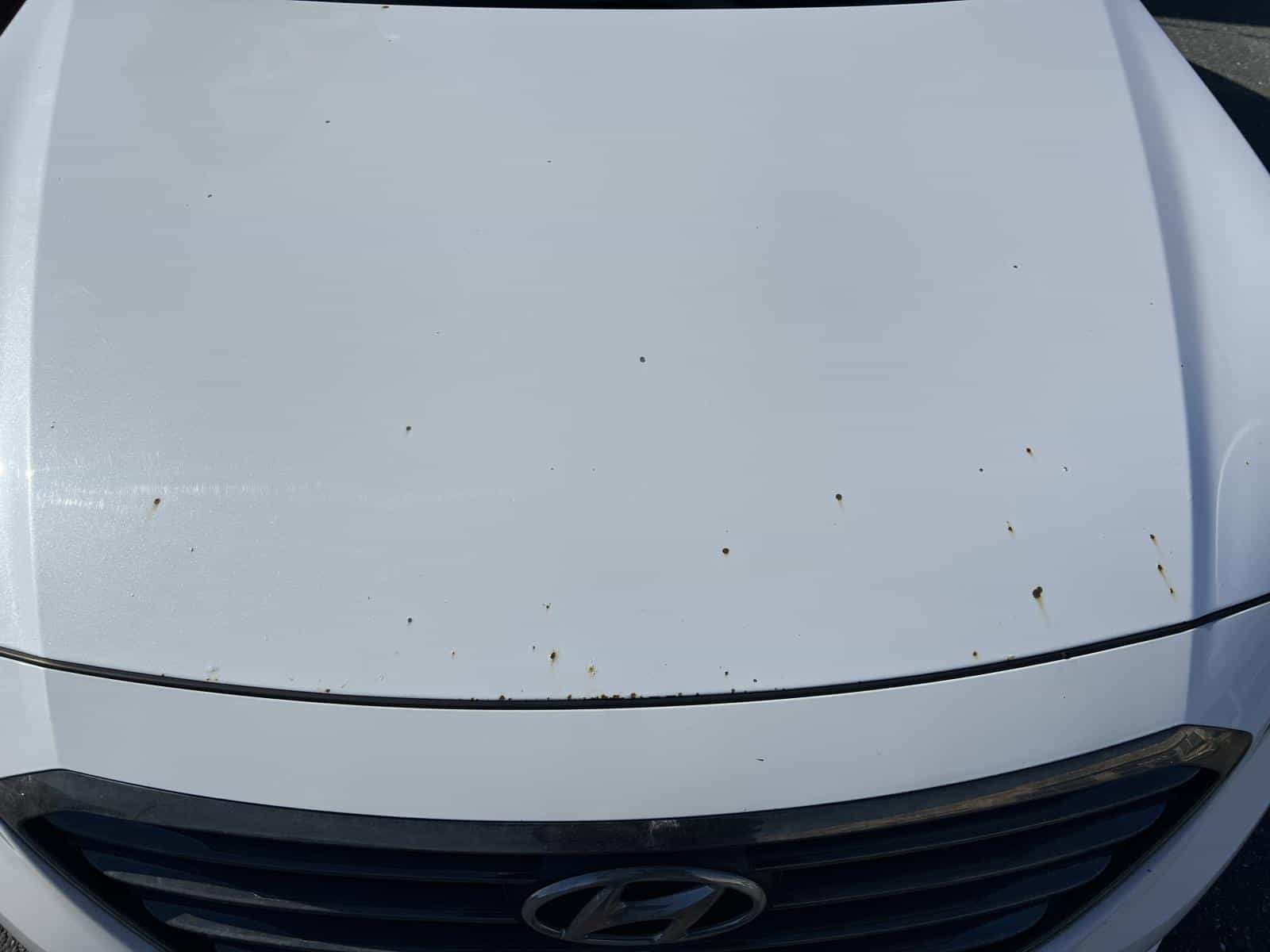 Image 3 Hyundai Sonata GL 2017