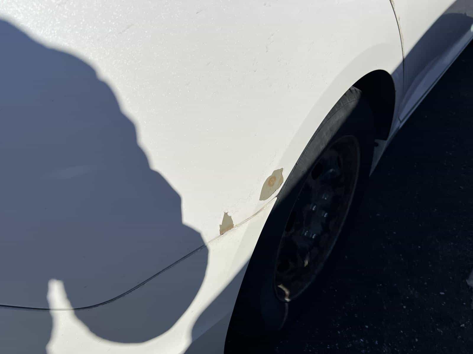 Image 8 Hyundai Sonata GL 2017