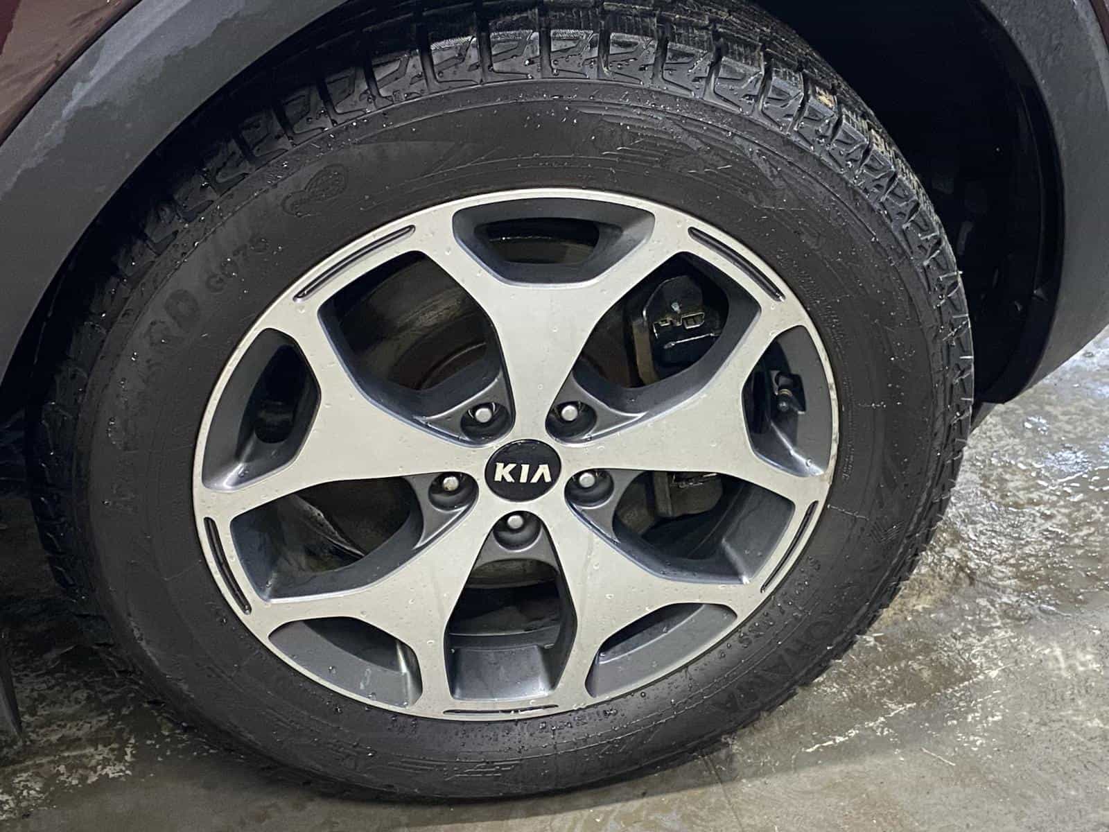 Image 3 Kia Telluride EX 2020