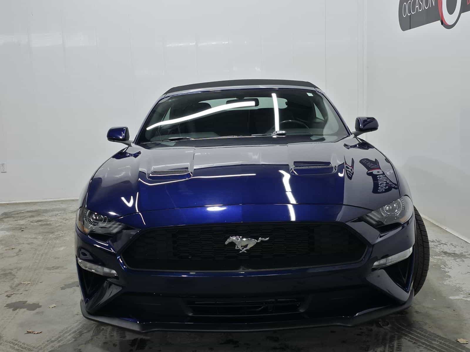 2019 Ford Mustang Eco Premium - Image 3