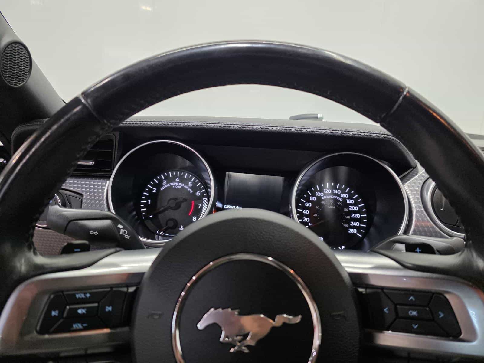 Image 12 Ford Mustang Eco Premium 2019