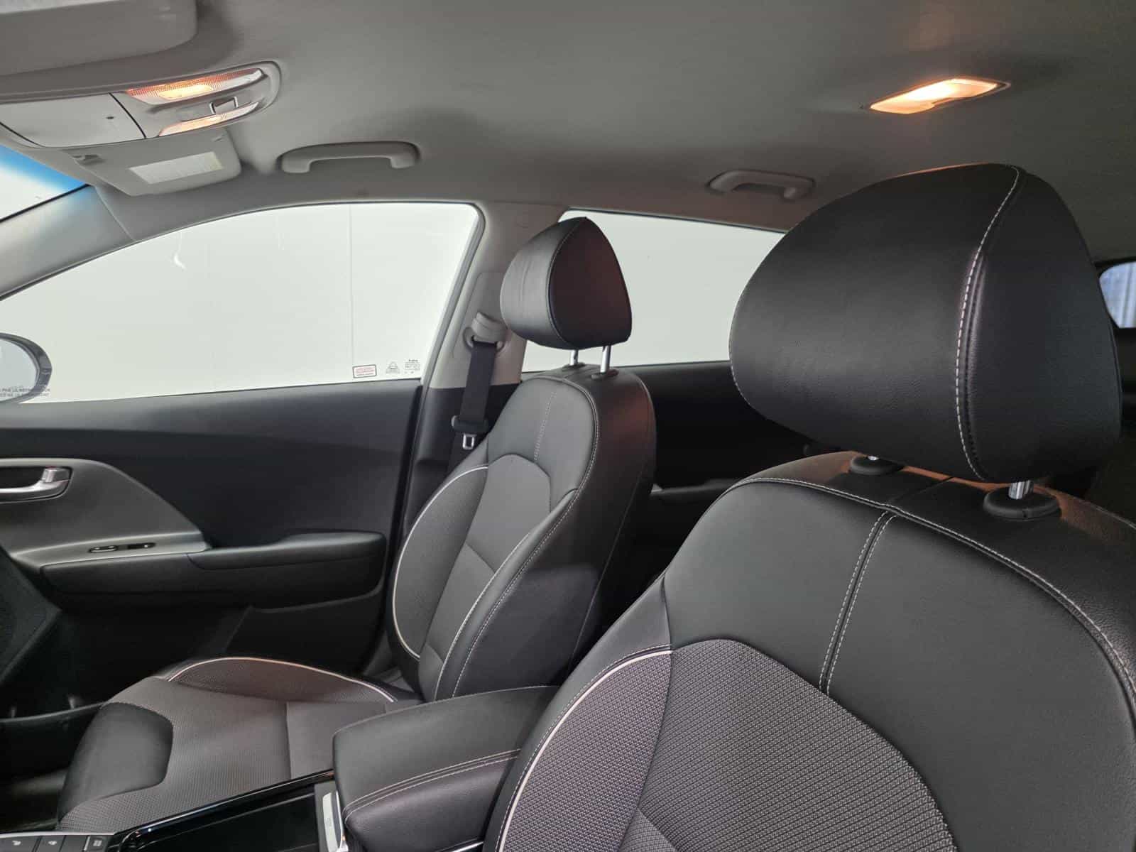 Image 9 Kia Niro EV EX 2022