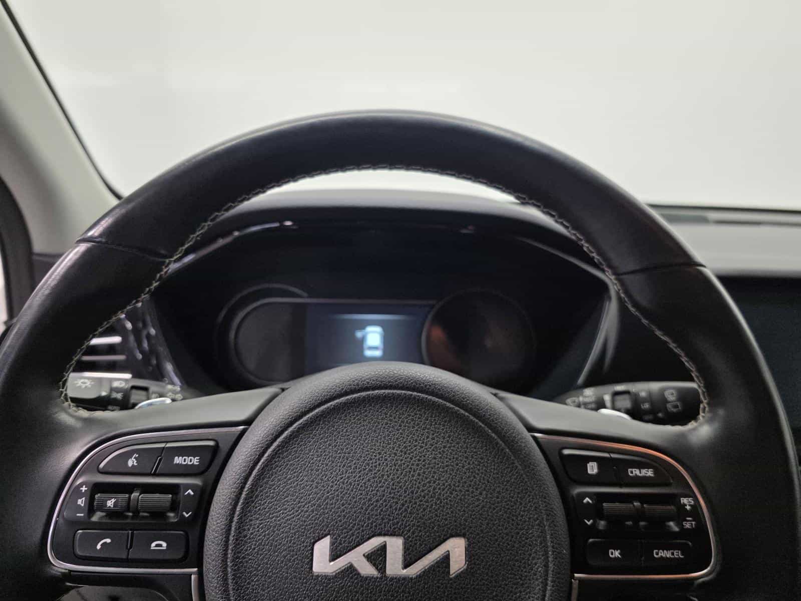 Image 13 Kia Niro EV EX 2022