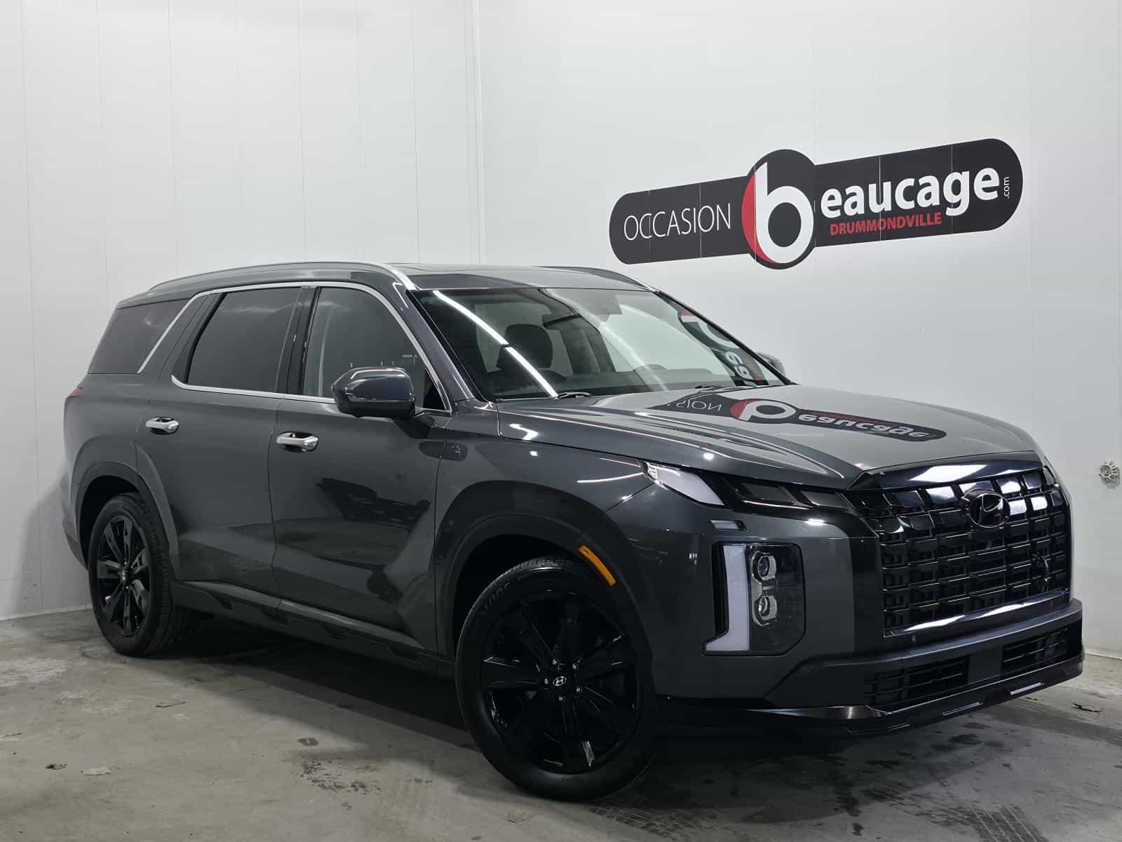 2023 Hyundai Palisade Urban - Image 1