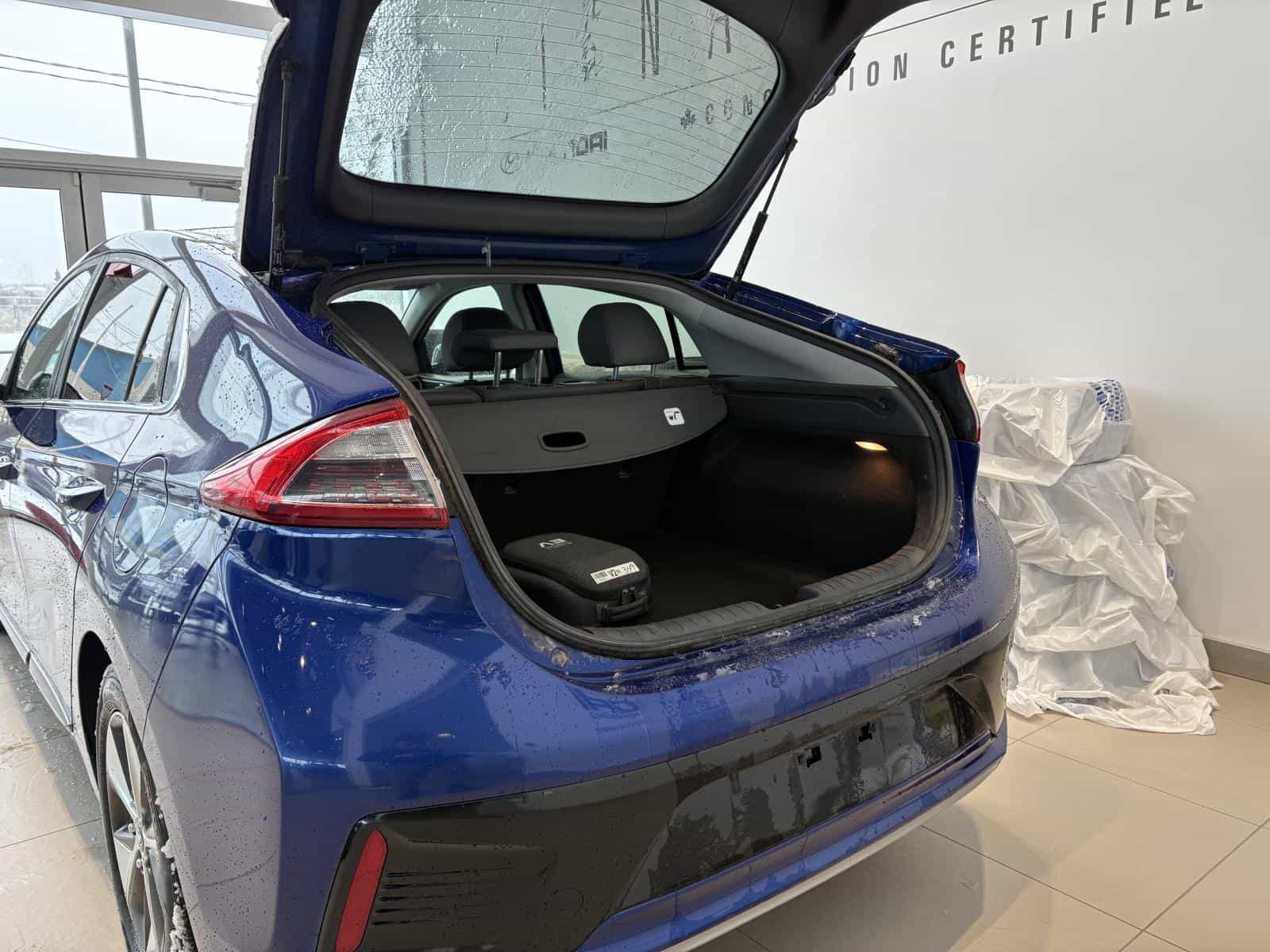 Image 16 Hyundai Ioniq Electric Base 2019