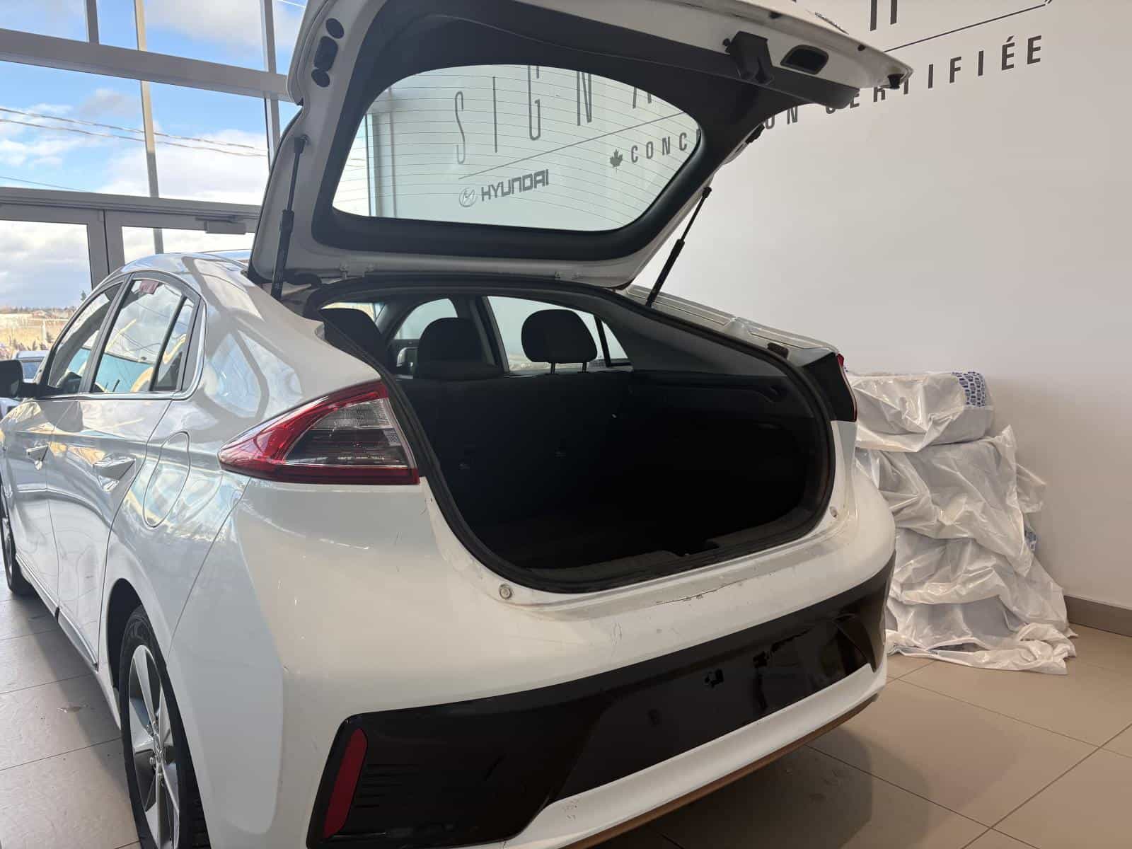 2019 Hyundai Ioniq Preferred - Image 13