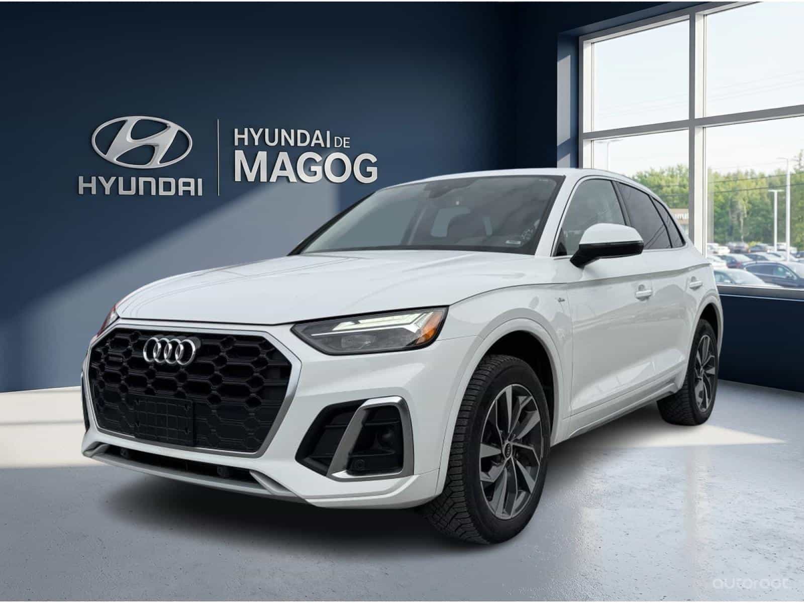 2021 Audi Q5 Progressiv - Image 1