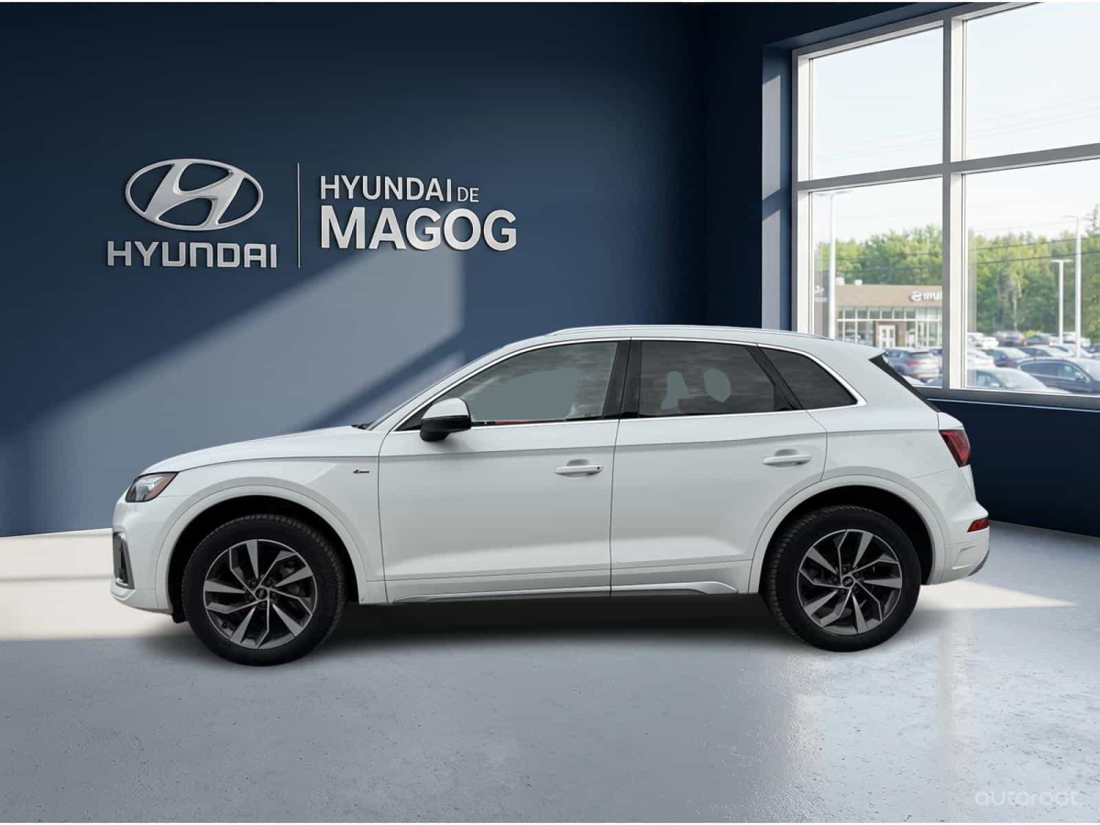 2021 Audi Q5 Progressiv - Image 2