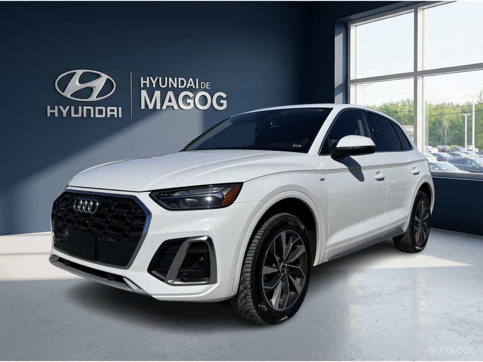 2021 Audi Q5 Progressiv - Image 1