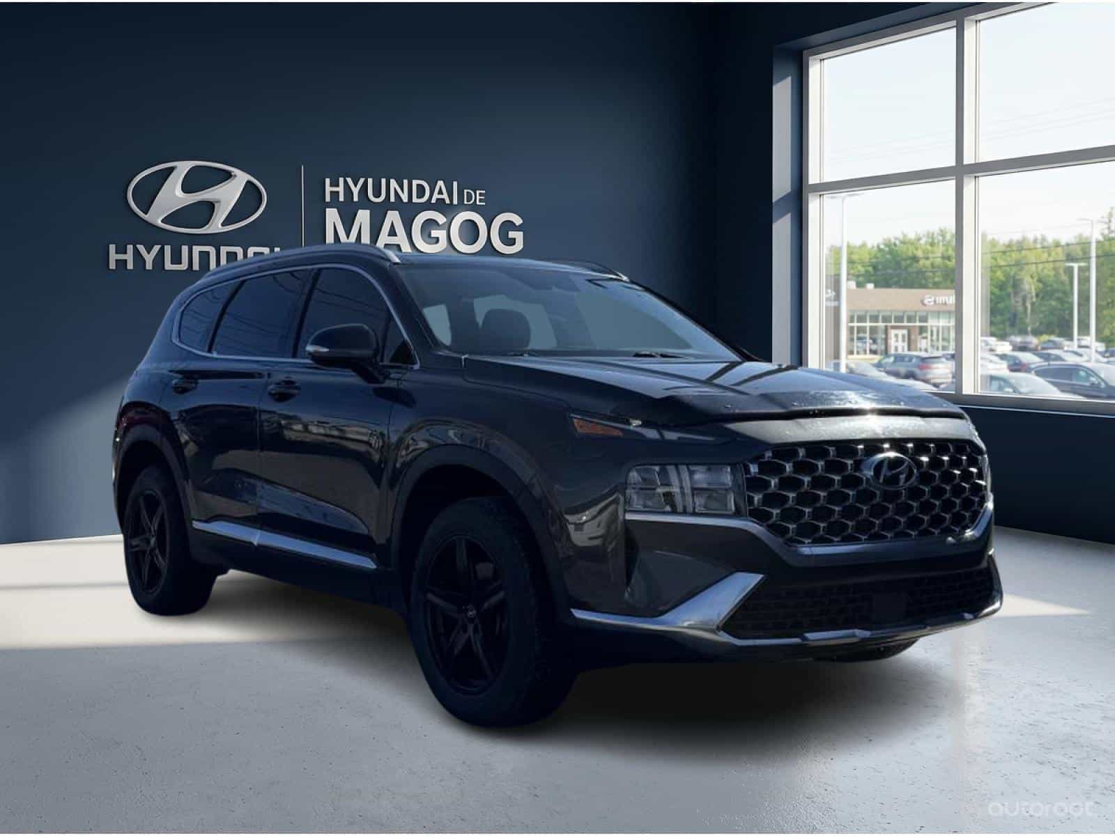 Image 7 Hyundai Santa Fe Preferred w/Trend 2022