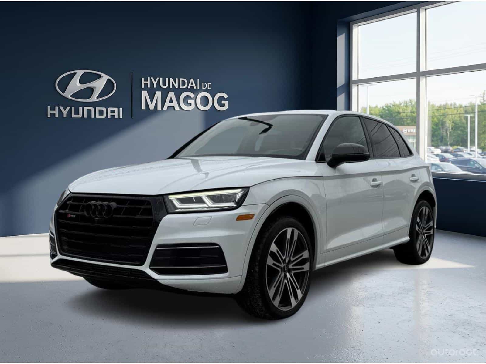 2019 Audi SQ5 Technik - Image 1