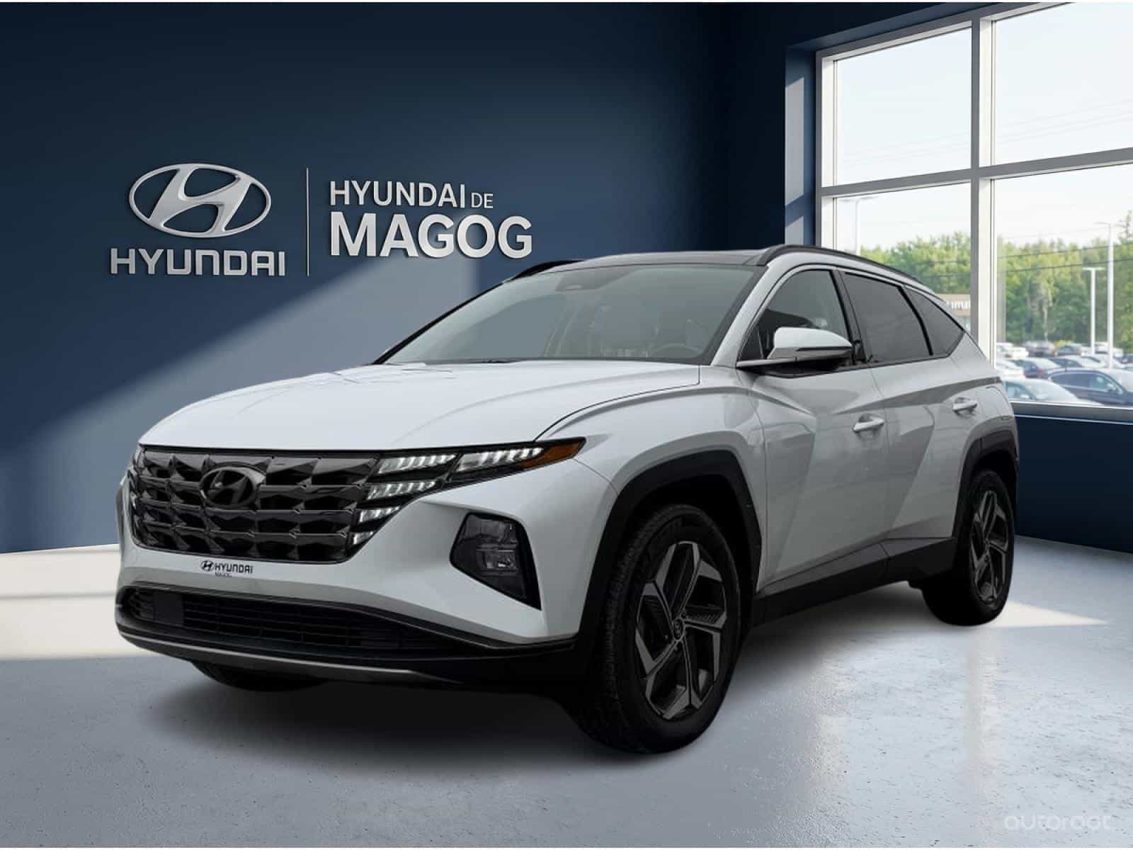 Image 1 Hyundai Tucson Luxury AWD Hybride rechargeable 2023