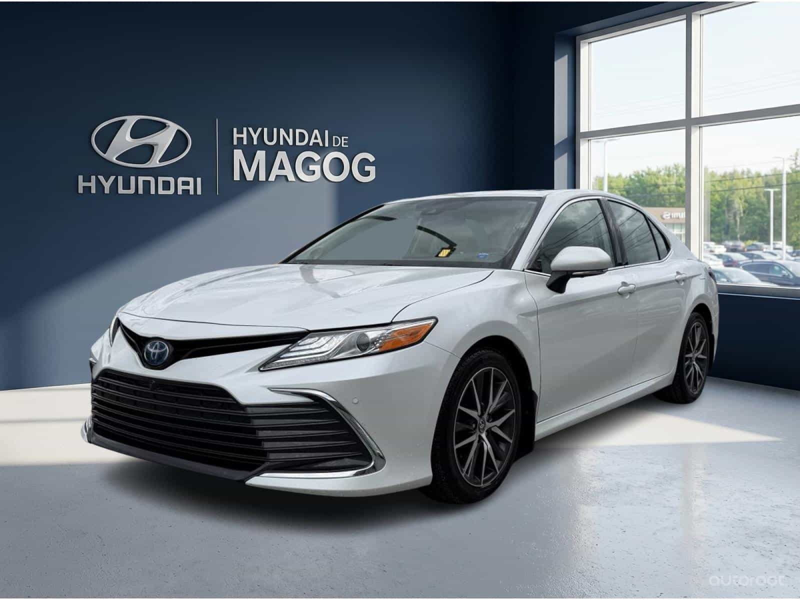 Image 1 Toyota Camry XLE Hybrid 2022
