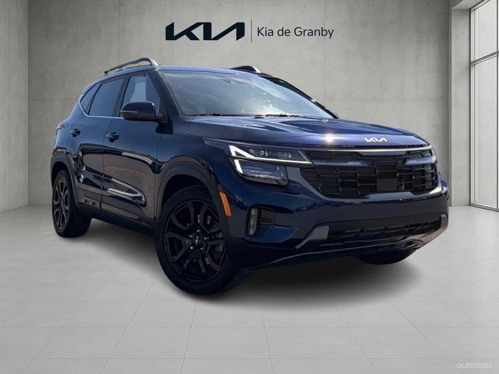 Image 1 Kia Seltos X-Line 2024