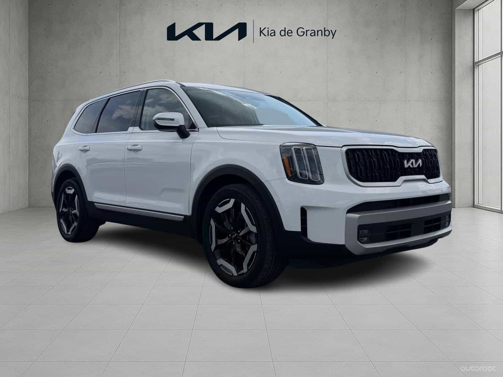 2024 Kia Telluride EX - Image 1