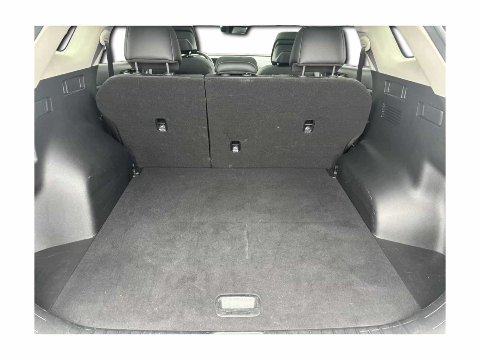 Image 7 Kia Sportage EX 2024