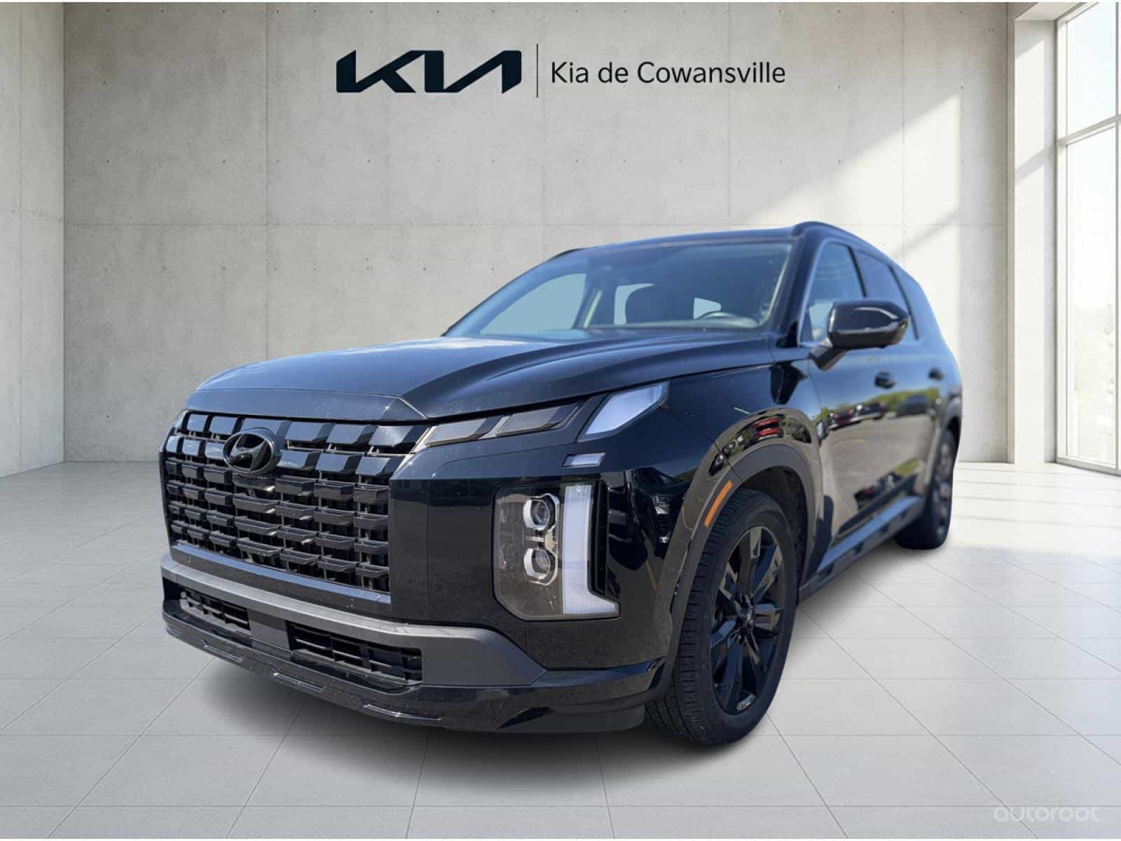 Image 1 Hyundai Palisade Urban 2025