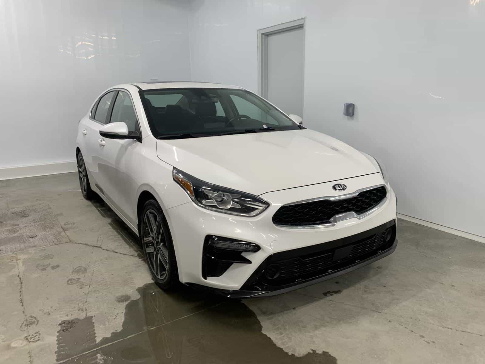 2019 Kia Forte EX Premium - Image 3
