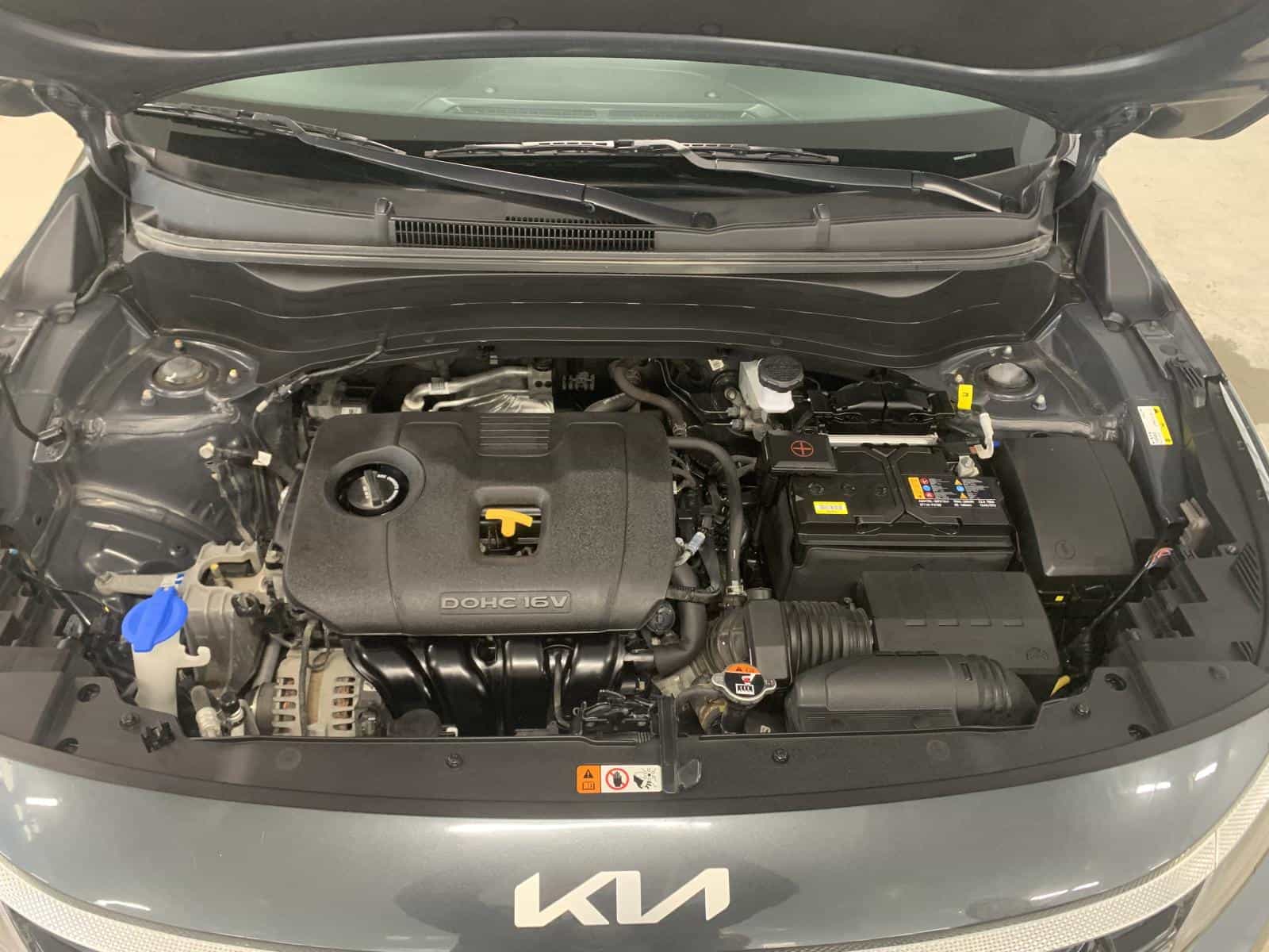 2024 Kia Seltos EX - Image 7