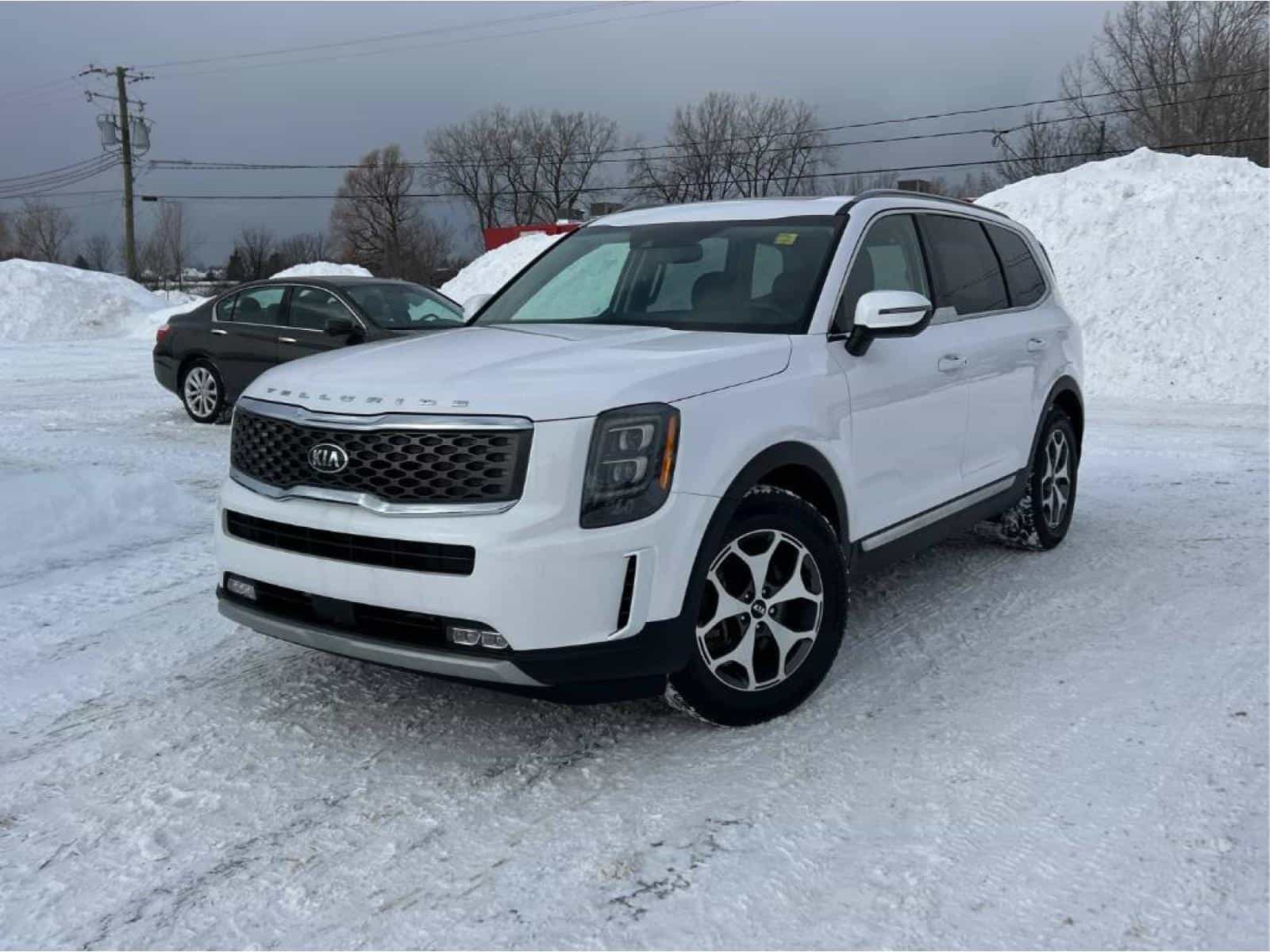 2021 Kia Telluride EX - Image 1
