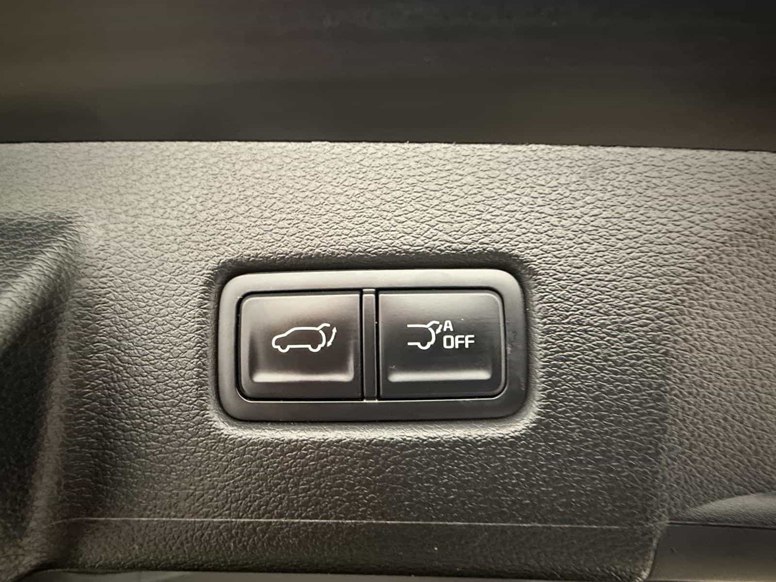 Image 9 Kia Telluride EX 2024