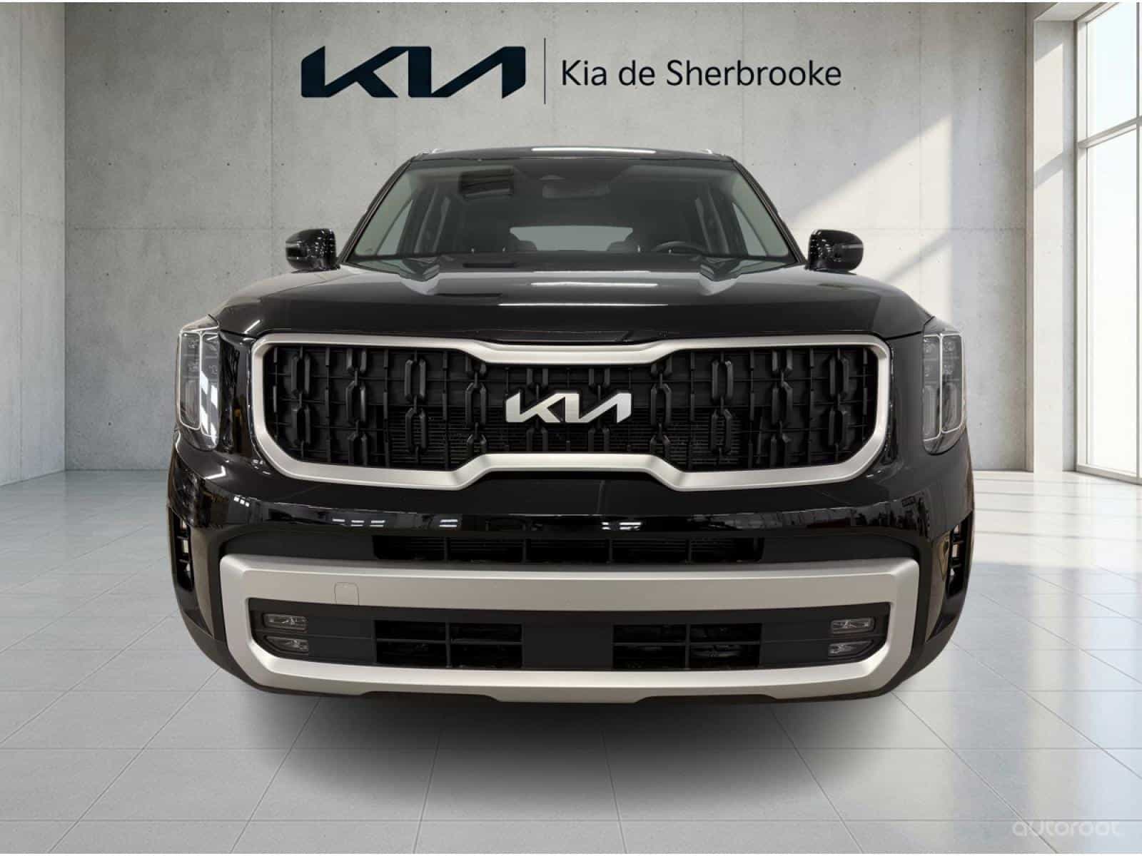 Image 2 Kia Telluride EX 2024