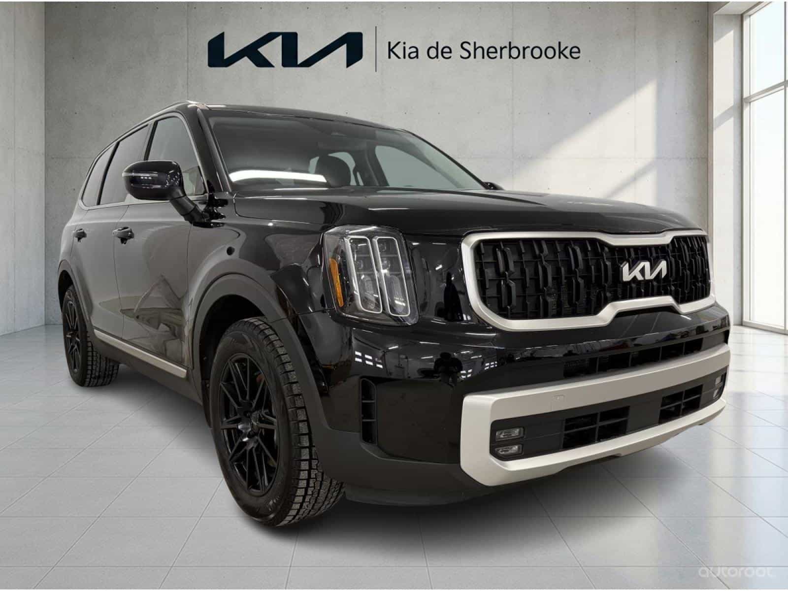 Image 3 Kia Telluride EX 2024