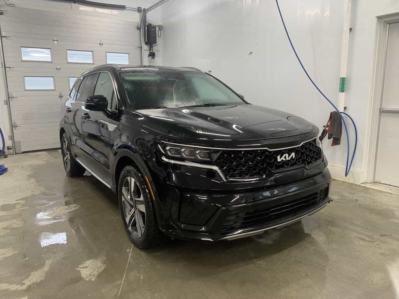 Image 1 Kia Sorento EX Hybrid 2022