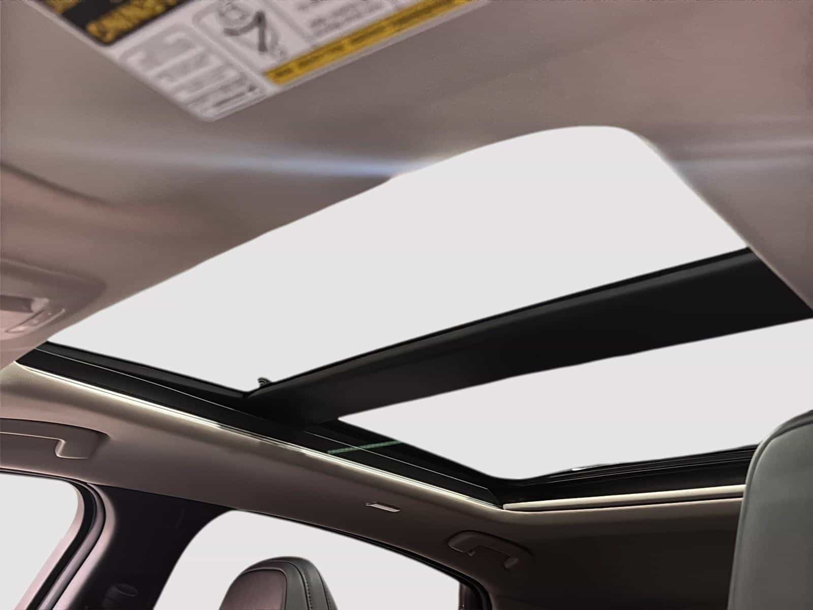 Image 13 Nissan Ariya Platinum+ 2023