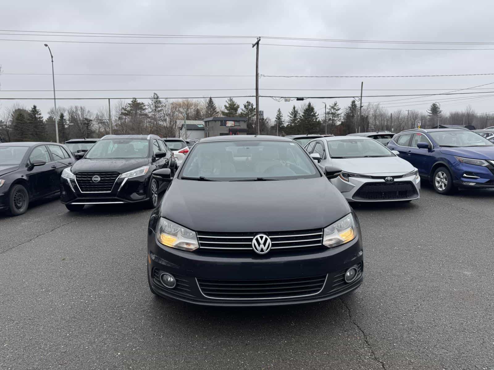 Image 8 Volkswagen Eos Comfortline 2012