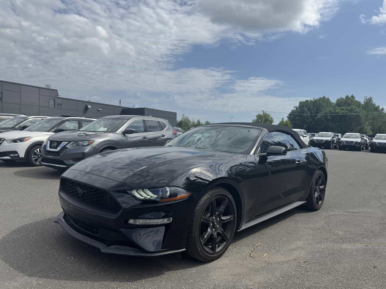 Image 1 Ford Mustang Eco Premium 2020