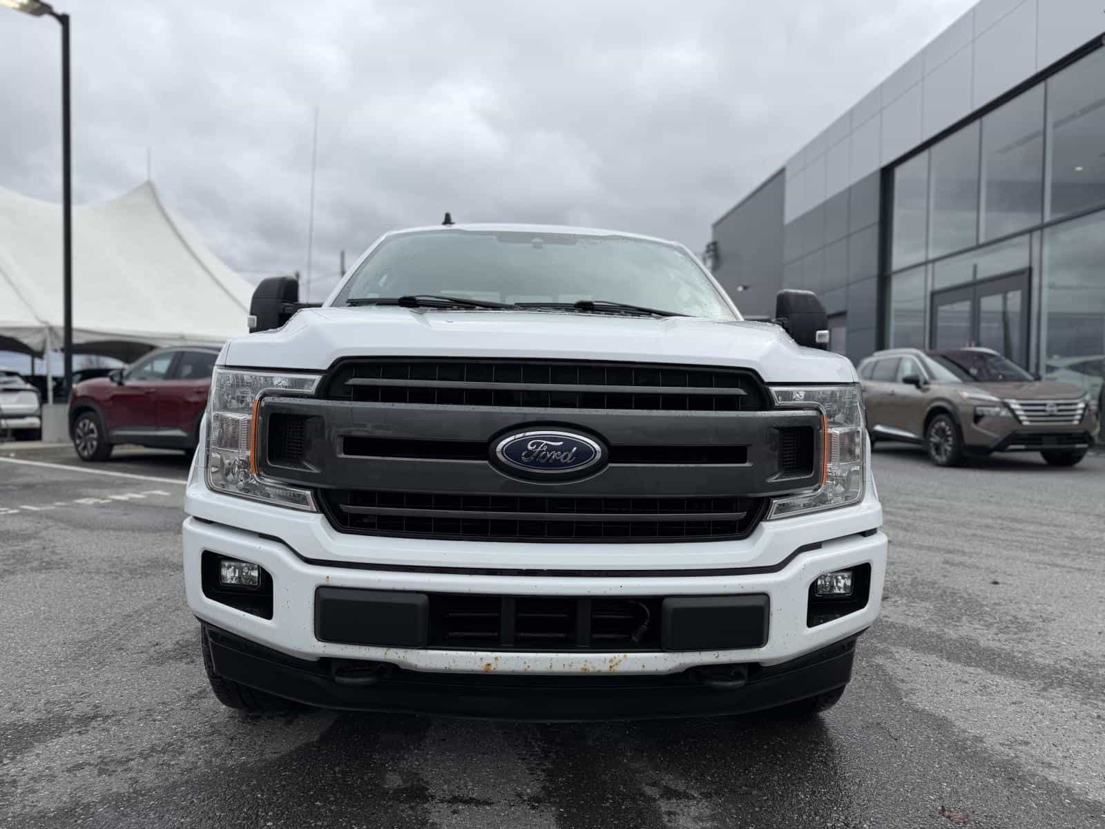 Image 3 Ford F150 XLT 2019