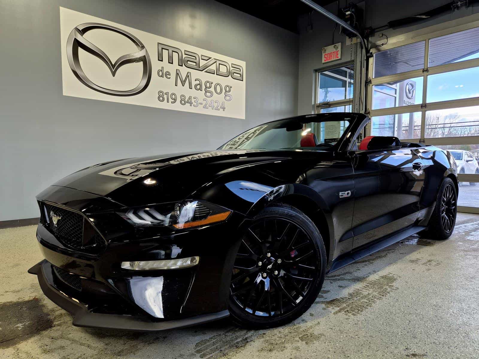 2020 Ford Mustang GT Premium - Image 1