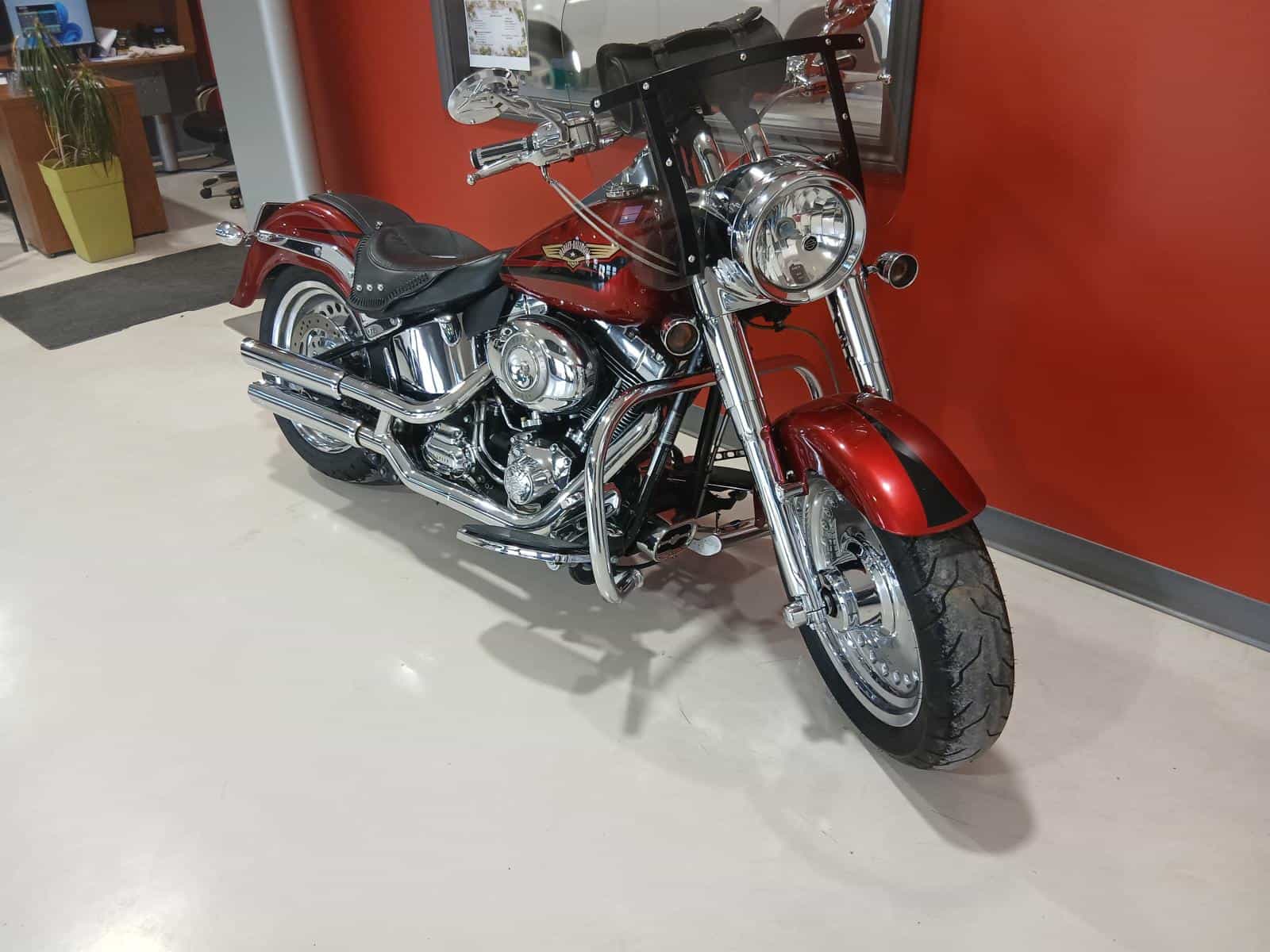 2008 Harley-Davidson FLSTF - Image 2