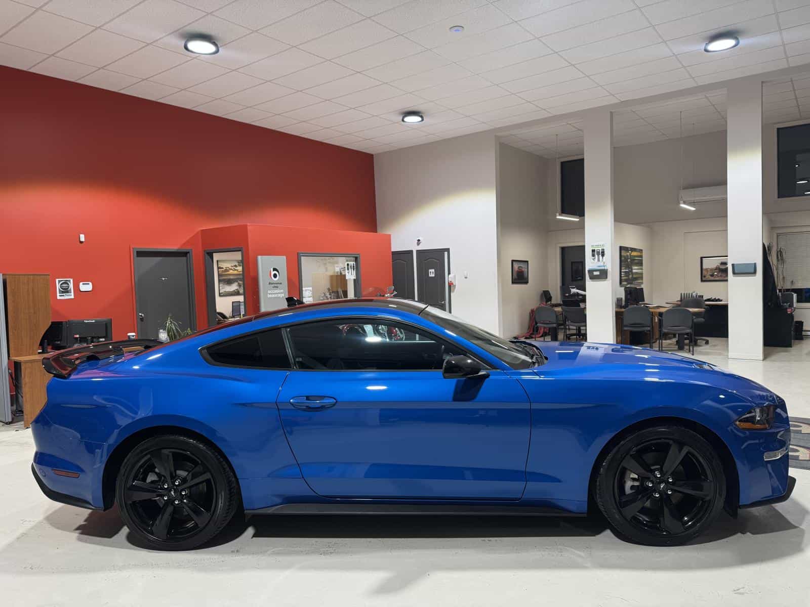 2021 Ford Mustang Eco - Image 8