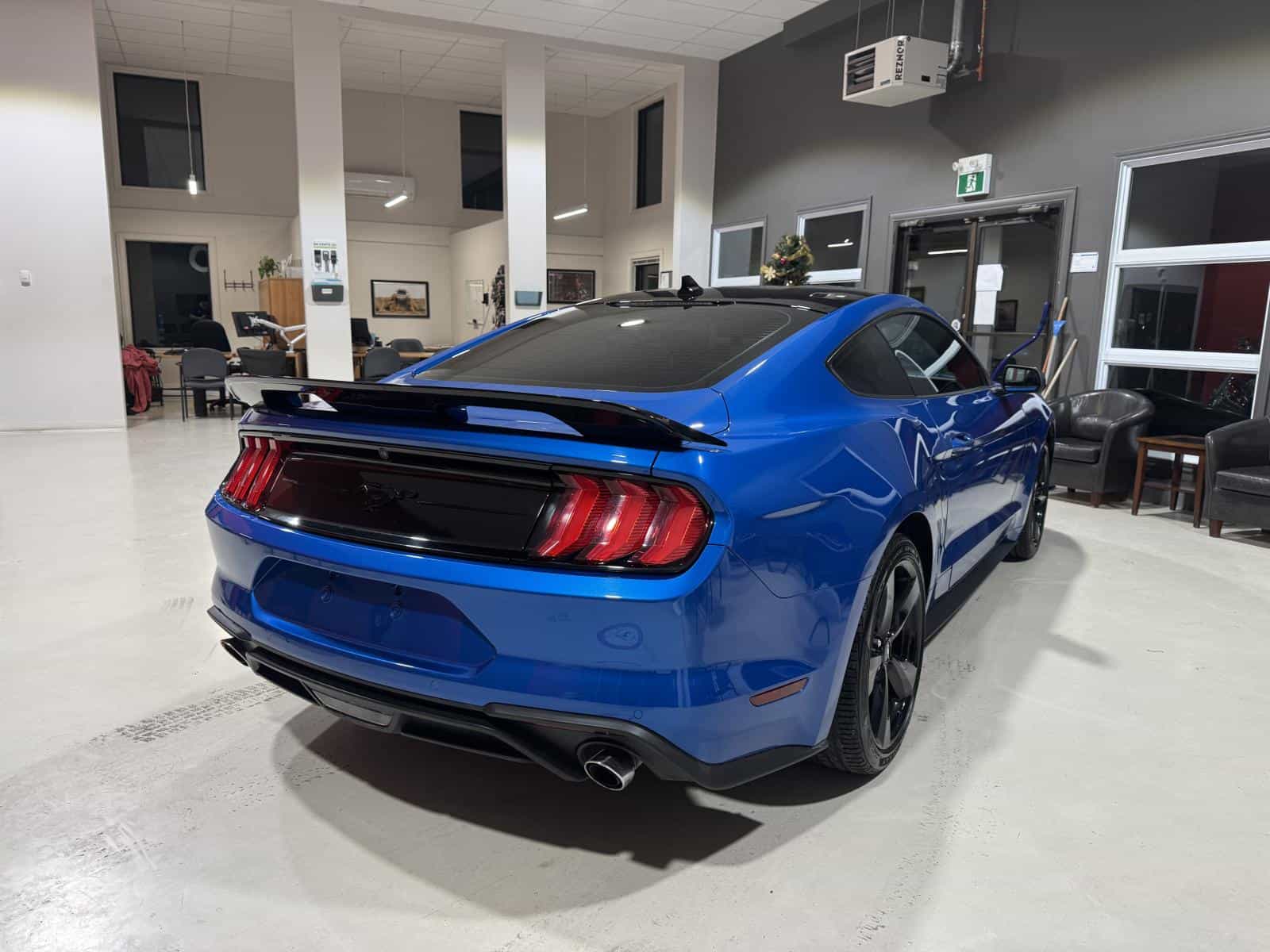 Image 7 Ford Mustang Eco 2021