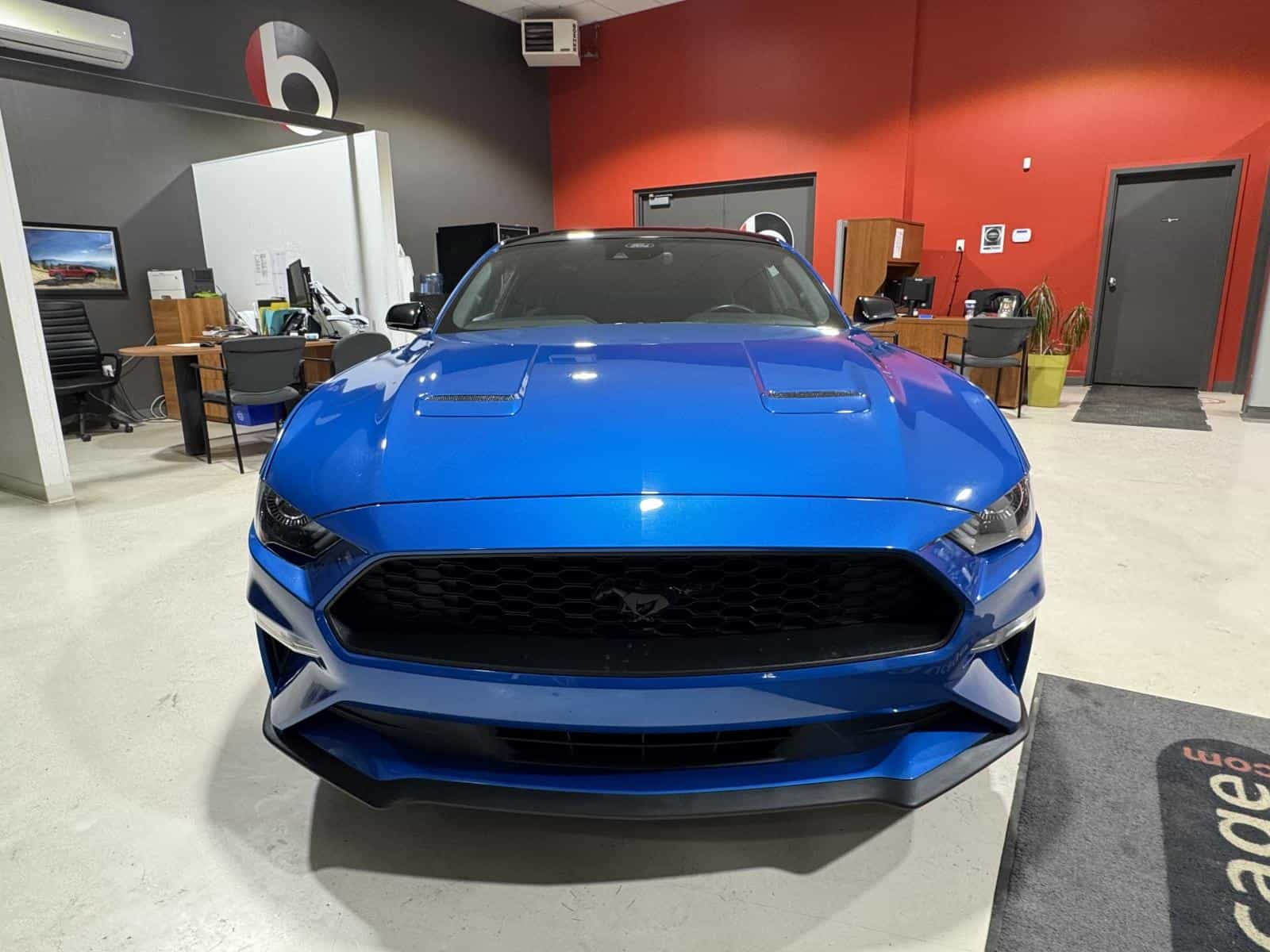 2021 Ford Mustang Eco - Image 11