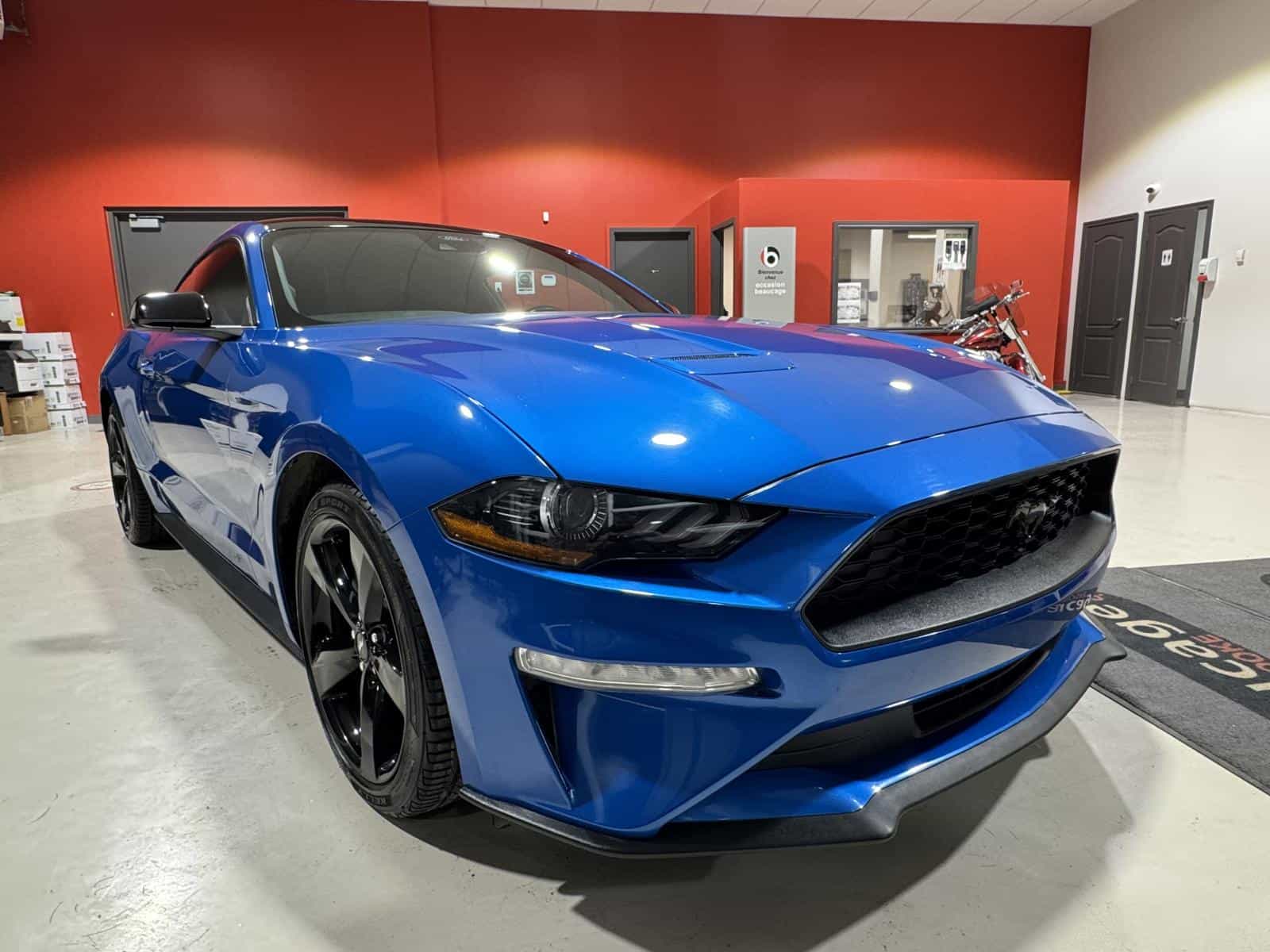 2021 Ford Mustang Eco - Image 9