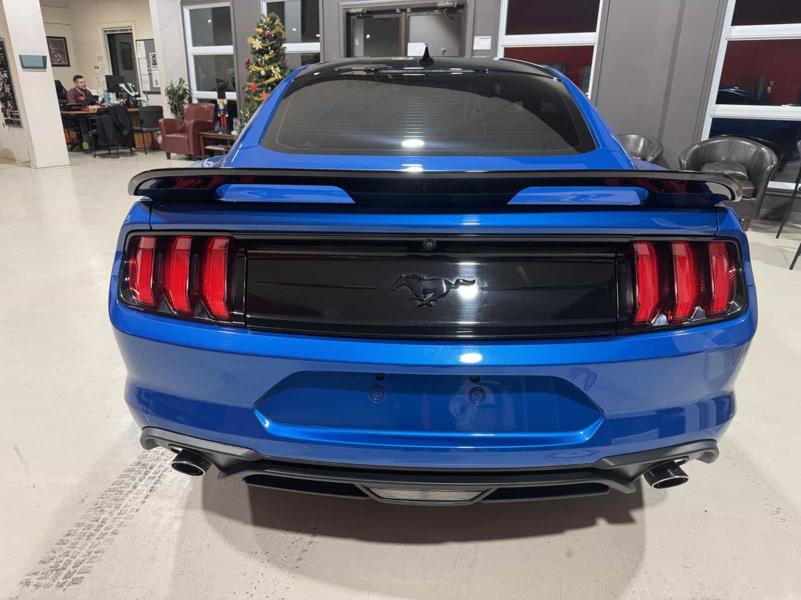 Image 5 Ford Mustang Eco 2021