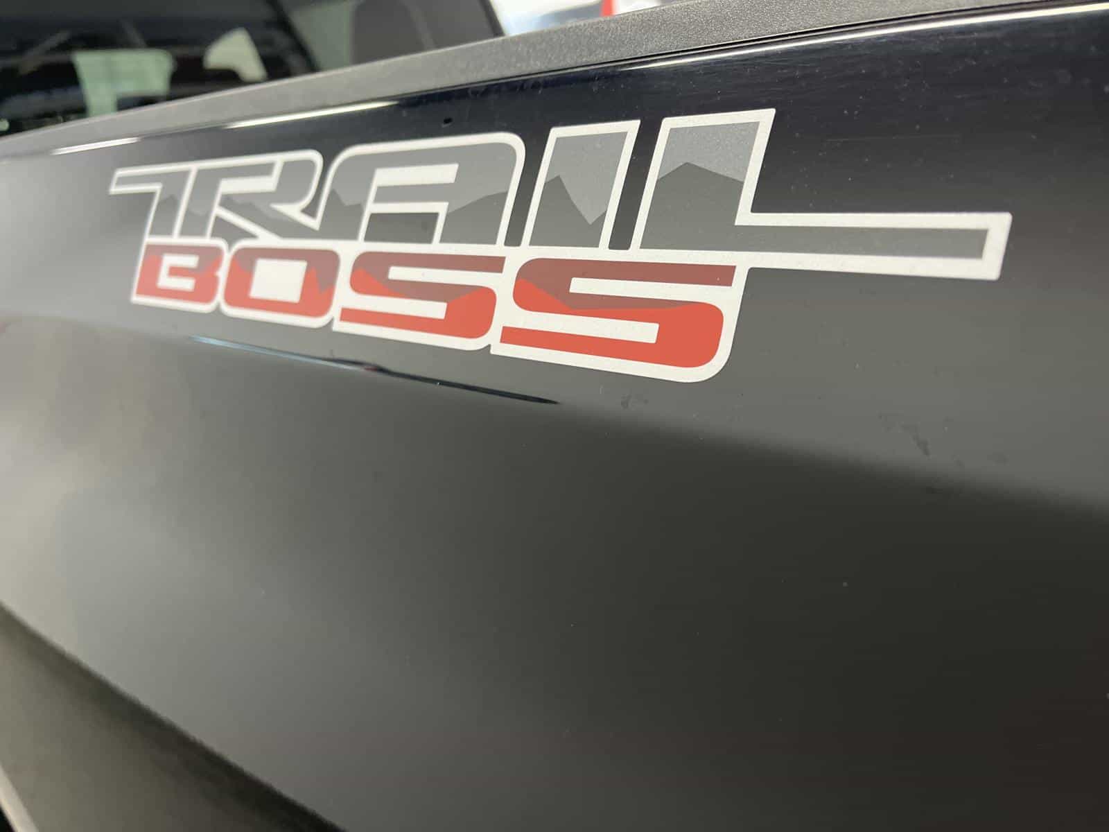 Image 24 Chevrolet Silverado 1500 LTD LT Trail Boss 2022