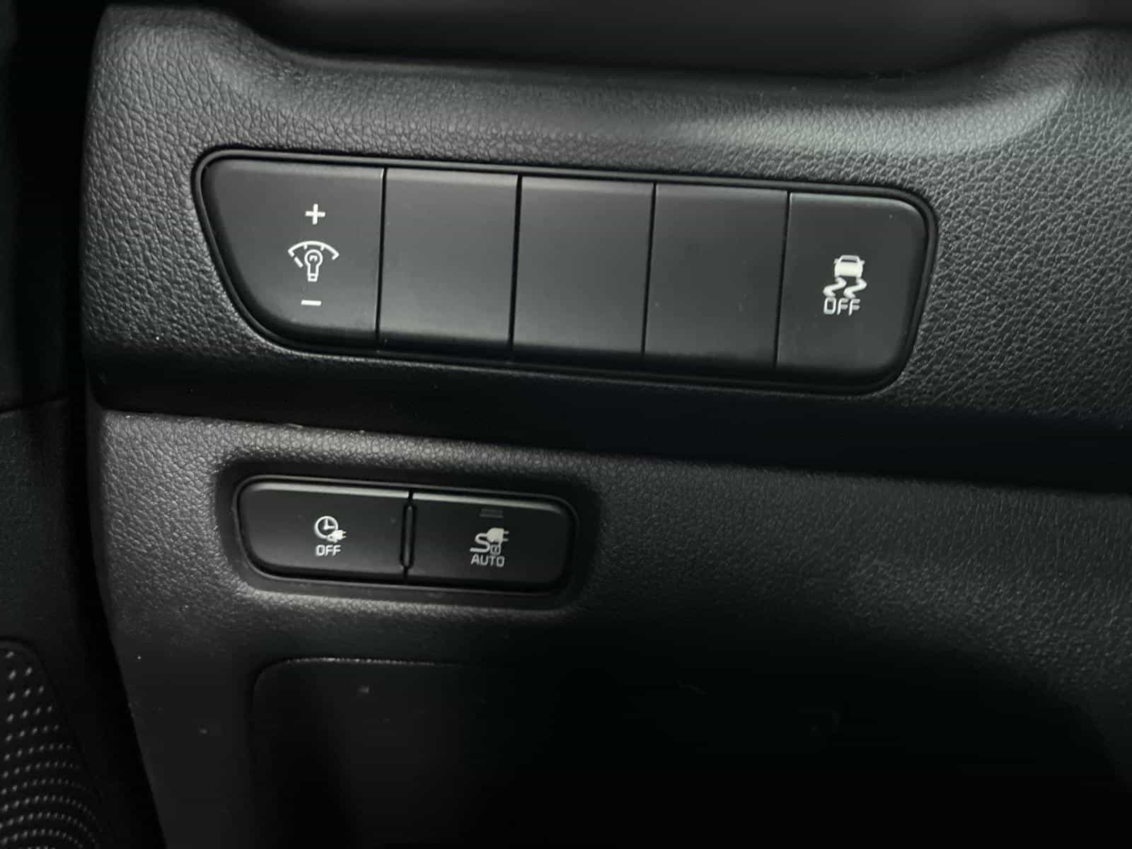 Image 13 Kia Niro EV EX 2022