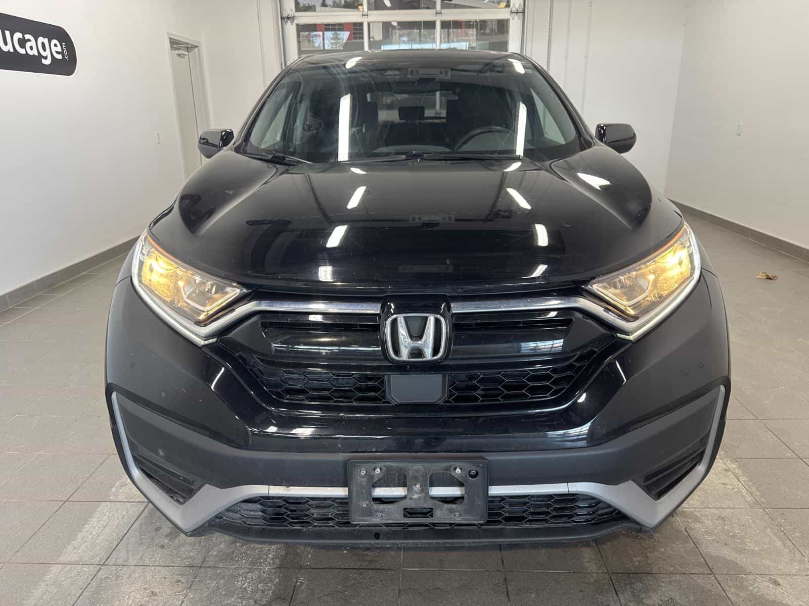 Image 3 Honda CR-V LX 2022