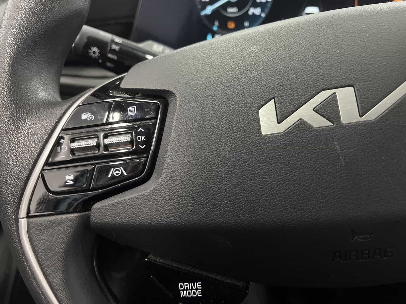 Image 14 Kia Niro EV Premium 2023