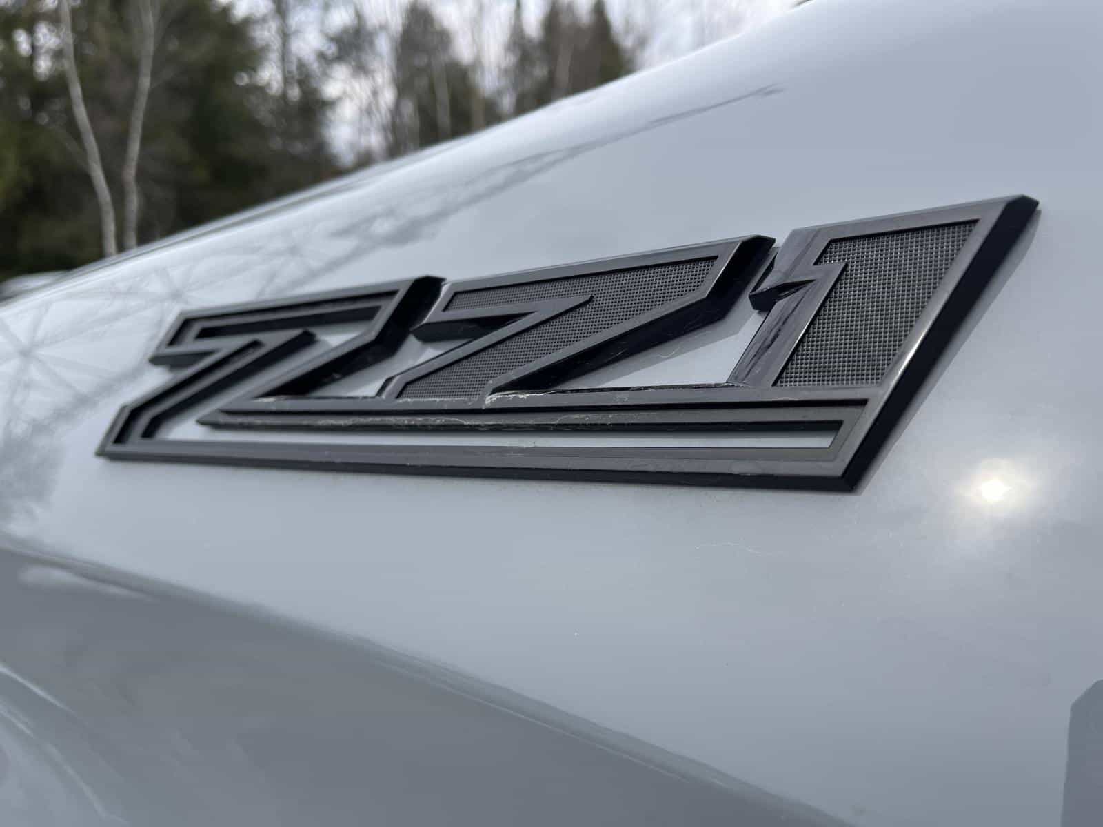 Image 22 Chevrolet Silverado 1500 Custom Trail Boss 2024