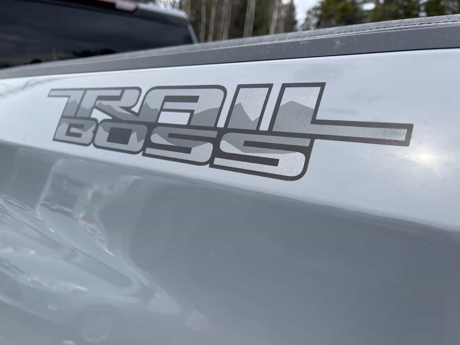 Image 23 Chevrolet Silverado 1500 Custom Trail Boss 2024