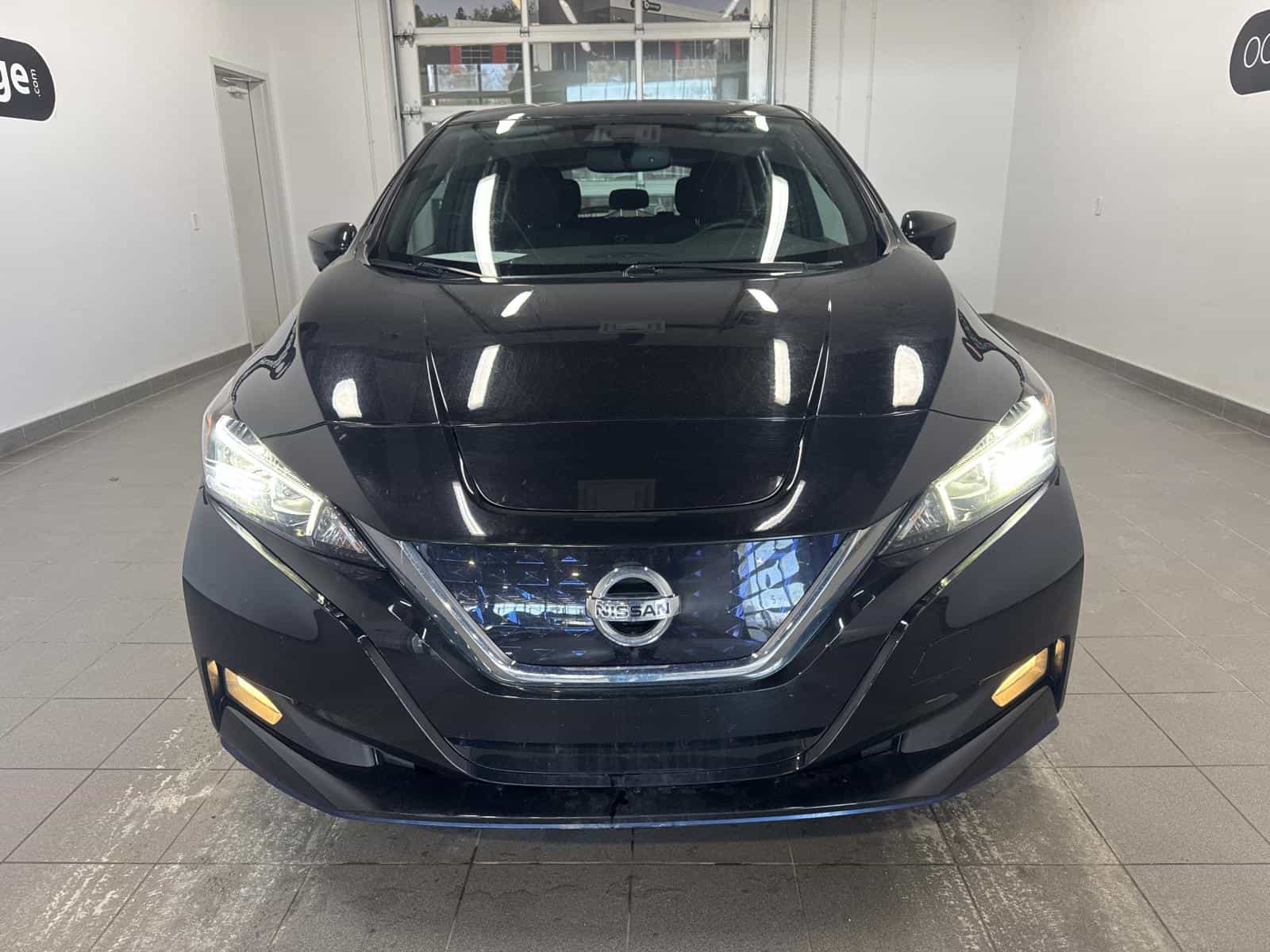 Image 3 Nissan Leaf Plus SV 2022