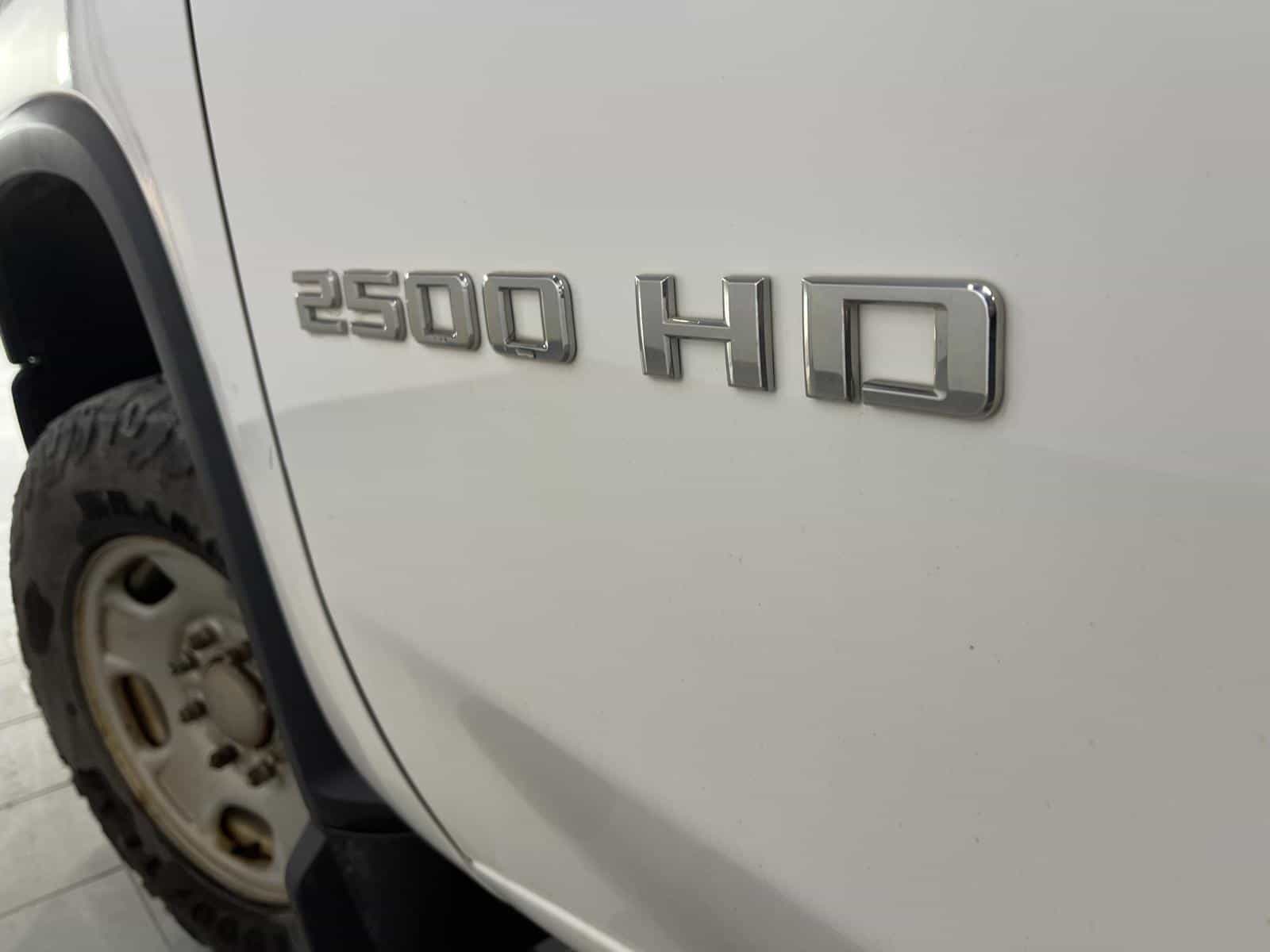 Image 20 Chevrolet Silverado 2500 WT 2022