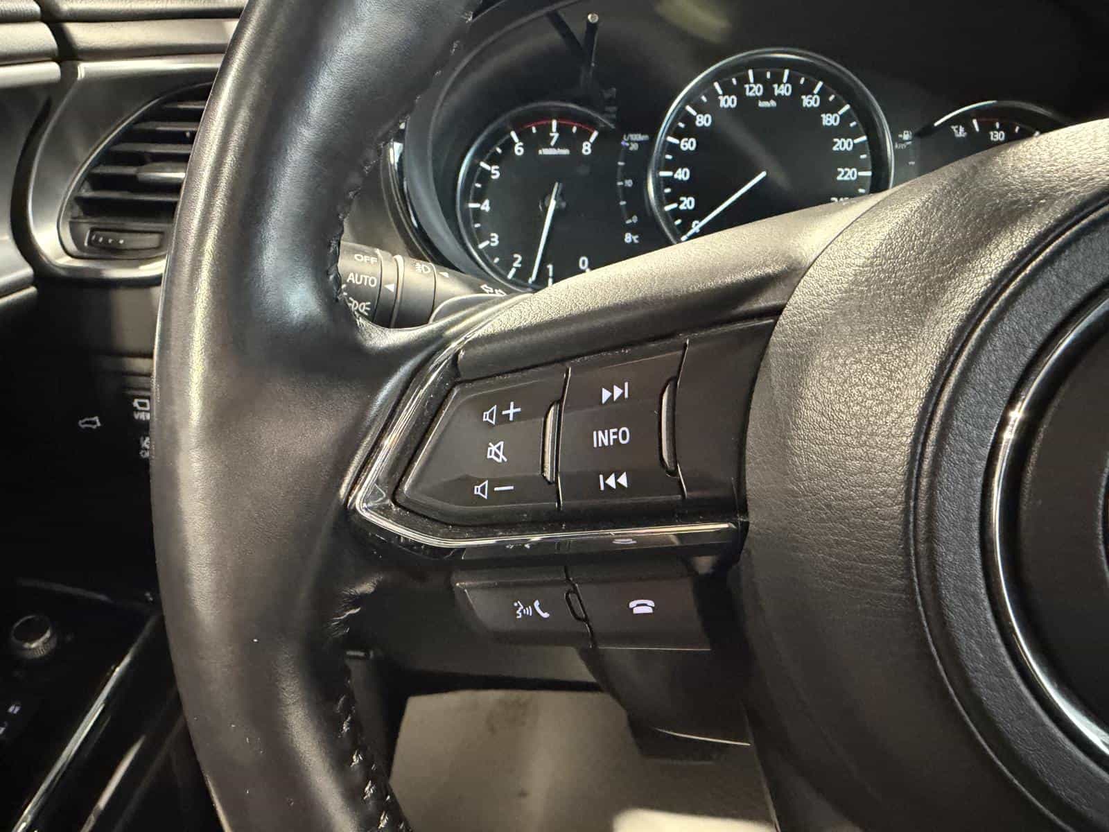 Image 19 Mazda CX-9 GT 2021