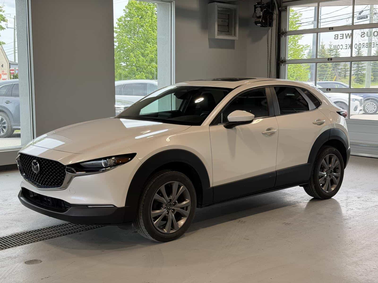 Image 1 Mazda CX-30 GS Luxury 2024
