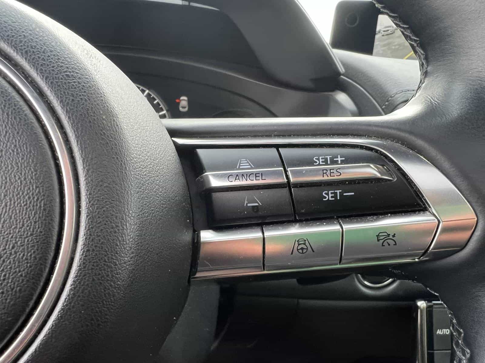 Image 20 Mazda MX-30 GT 2022